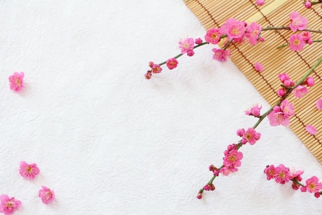 年賀状に描く梅の花の意味とは？縁起や良い意味合いと選ばれる理由